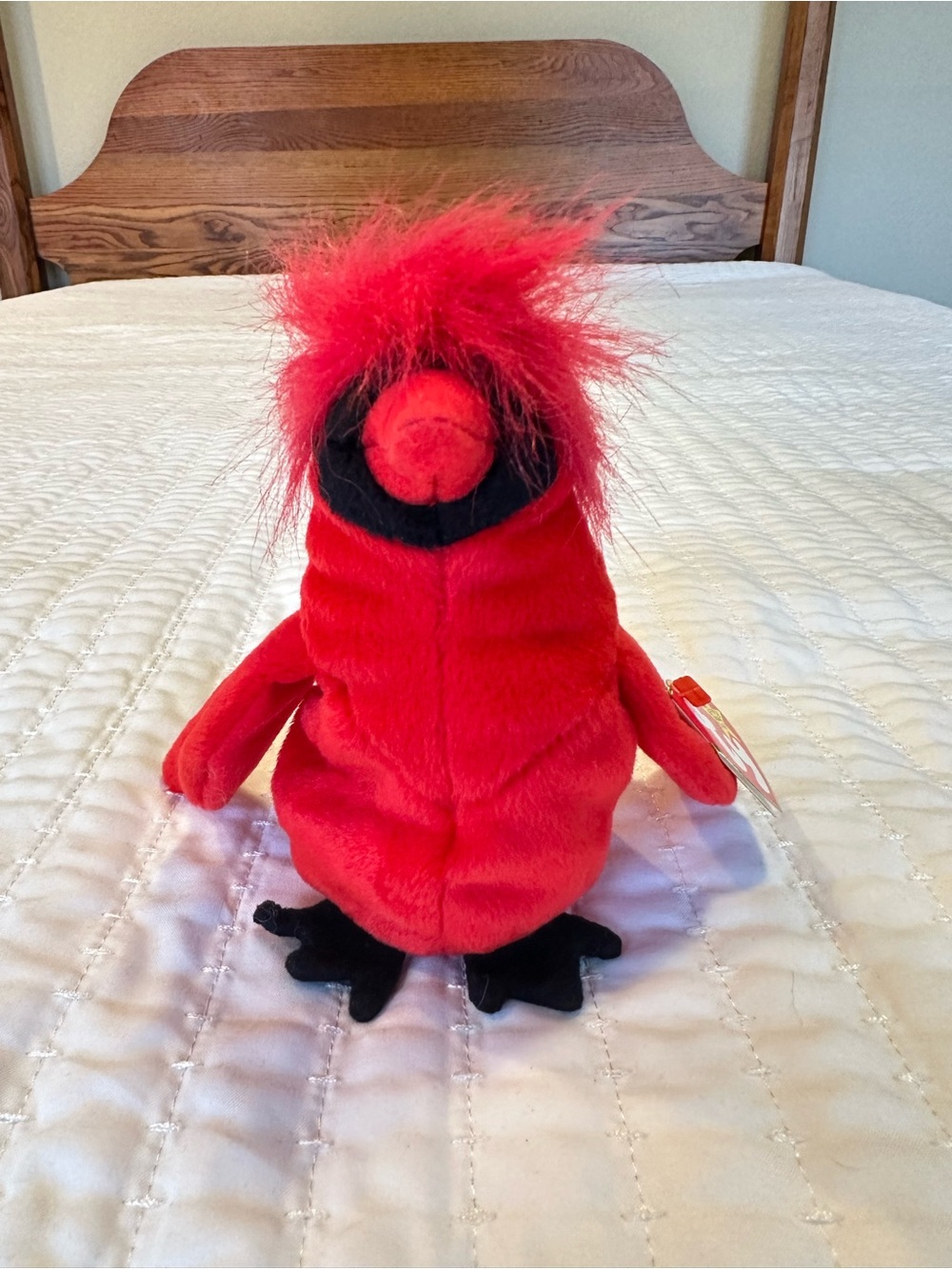 Mac the Cardinal Beanie Baby